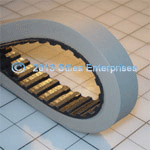 AOF Seamless Covered Capper Belt