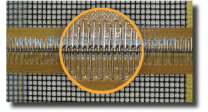 K4SP (Biscor Code) Clipper