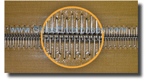 SW001 (Biscor Code)