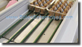 Habasit® Urethane Round Belts